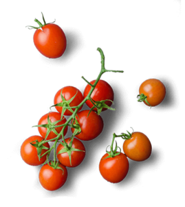 Tomates L'Entracte Blagnac